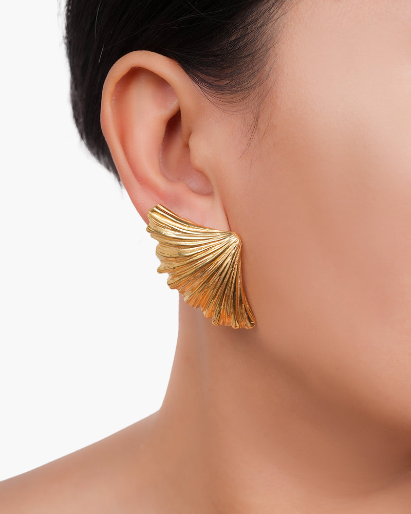 Large Shell Earrings