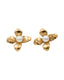 Pavati Earrings