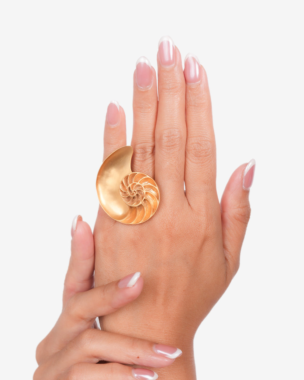Nautilius Shell Ring