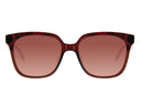 SUNGLASSES - OCCL4247