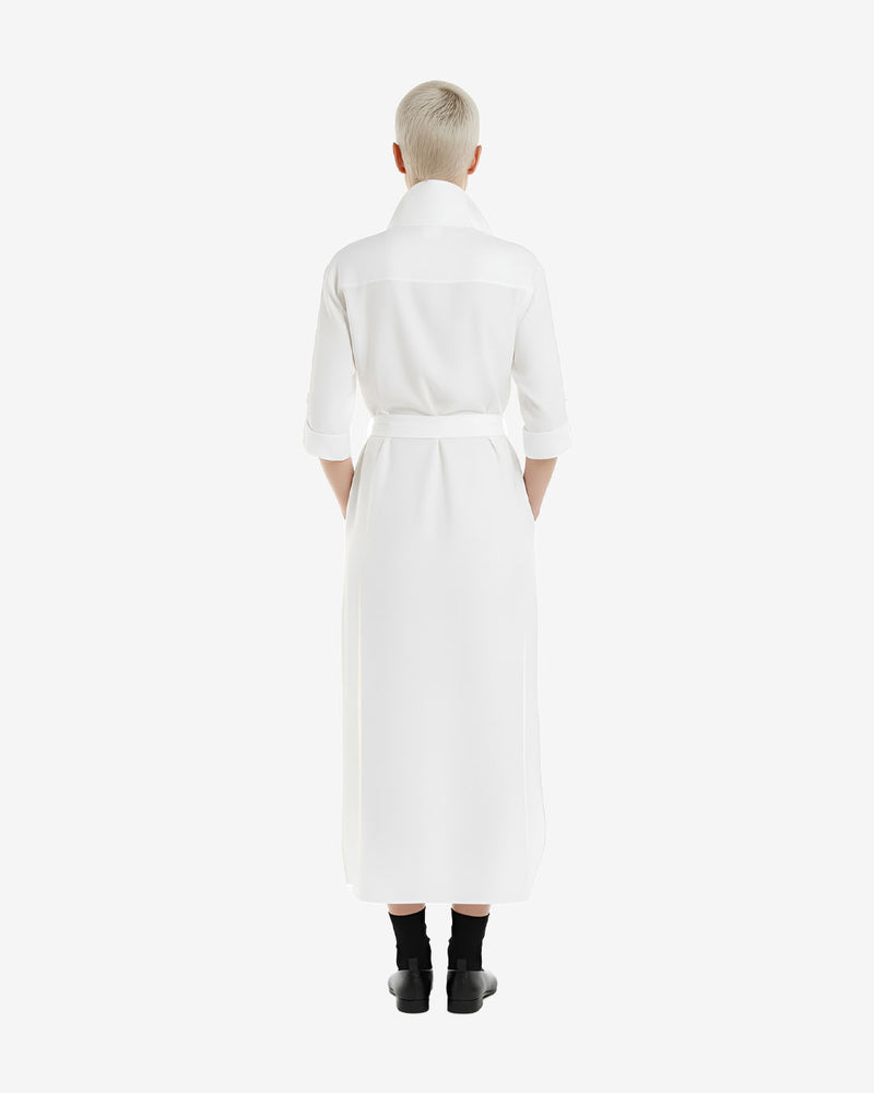 Long Shirt Dress Linen