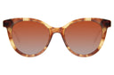SUNGLASSES - OCCL4317