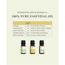 Sweet Orange Essential Oil 100 % Pure - Eucalie