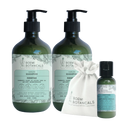 Daily Hair Ritual Set