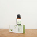 Peppermint Oil Refreshing 100% Pure Essential Oil