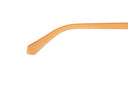 SUNGLASSES - OCCL4556