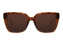 SUNGLASSES - OCCL4624