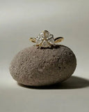 Saeve Ring