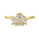 Saeve Ring