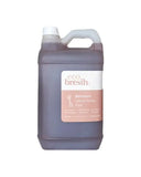 5L Bathroom Cleaner