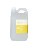 5L Dish Soap