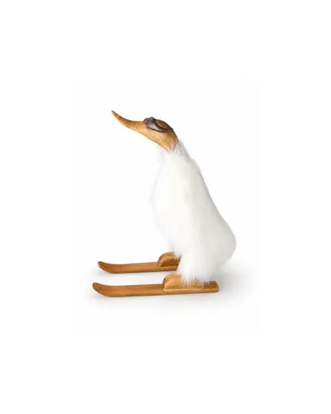 Surfing Duck