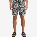 Short Man Dalmatian