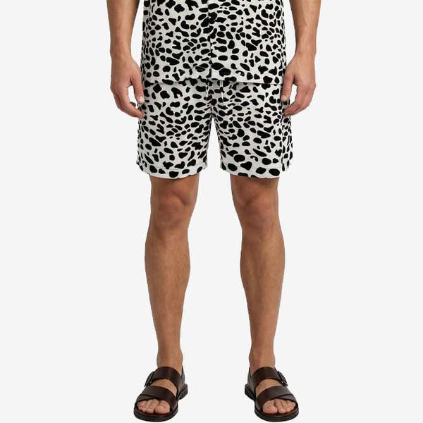 Short Man Dalmatian