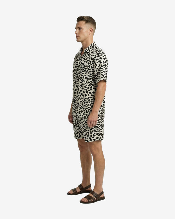 Short Man Dalmatian