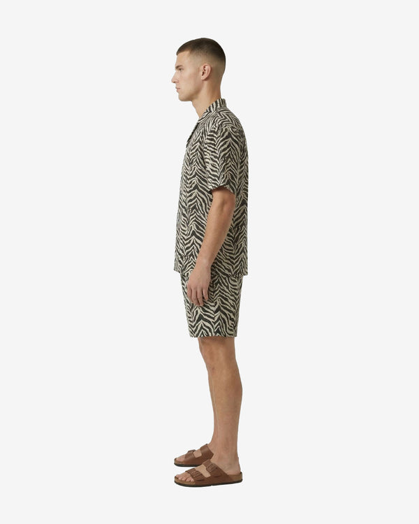 Short Man Zebra