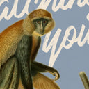 Bali Zoo Watching You Posters