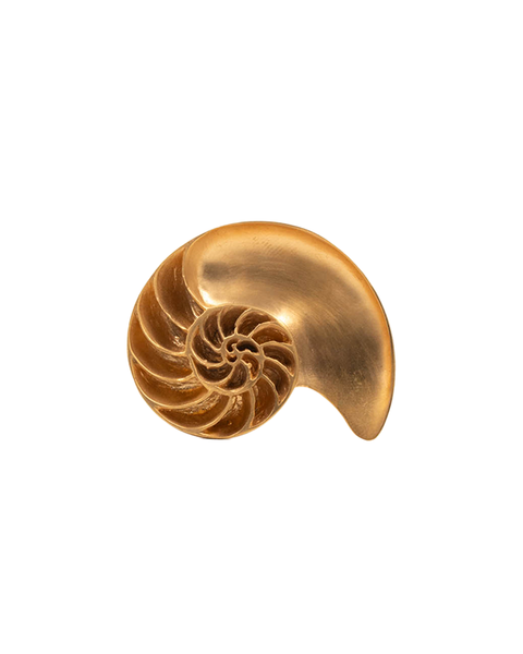 Nautilius Shell Ring