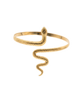 Snake Shouldered Bracelet