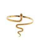 Snake Shouldered Bracelet