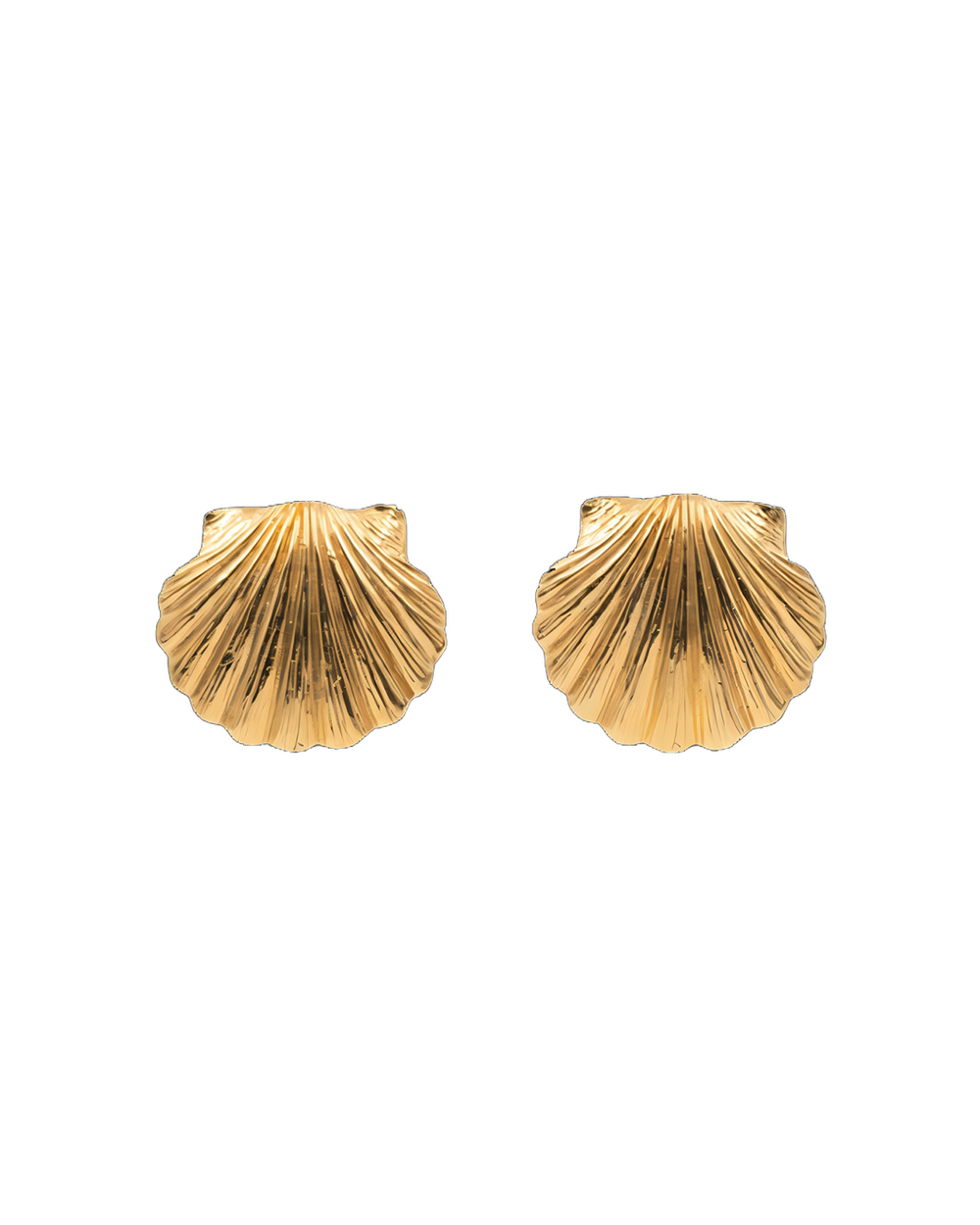 Clam Shell Stud Earrings