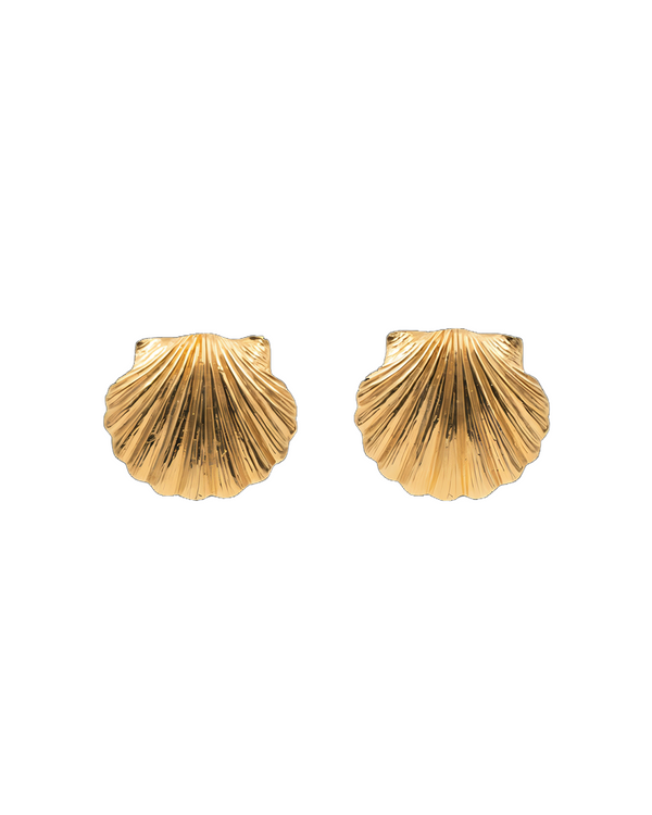 Clam Shell Stud Earrings