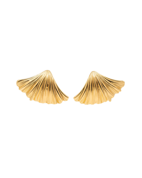 Large Shell Earrings