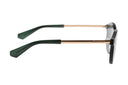 SUNGLASSES - OCCL3849
