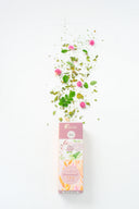 hormonal tea - regulate blood sugar - made tea bali