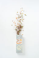 vanilla chai tea - enhance mood - made tea bali