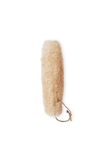 Sustainable Natural Sponge Dried Loofah Pumpkin - Single