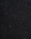 Alure Nocturne Beaded Top