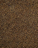 Allure Nocturne Beaded Top