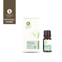 Anti-Viral Organic Eucalyptus Essential Oil (100% Pure)