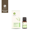 Sweet Orange Essential Oil 100 % Pure - Eucalie