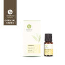 Immunity Booster 100% Pure Essential Oil