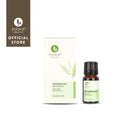 Peppermint Oil Refreshing 100% Pure Essential Oil