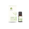Tea Tree Oil Organic Acne Treatment - 100% Pure