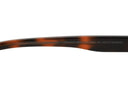 SUNGLASSES - OCCL4126