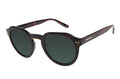 SUNGLASSES - OCCL4074