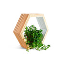 Hexagon Wall Tiles