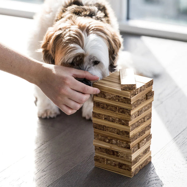Building Blocks