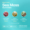Bumi Sea Moss Gummies (2 Months Supply)