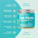 Bumi Sea Moss Gummies (2 Months Supply)